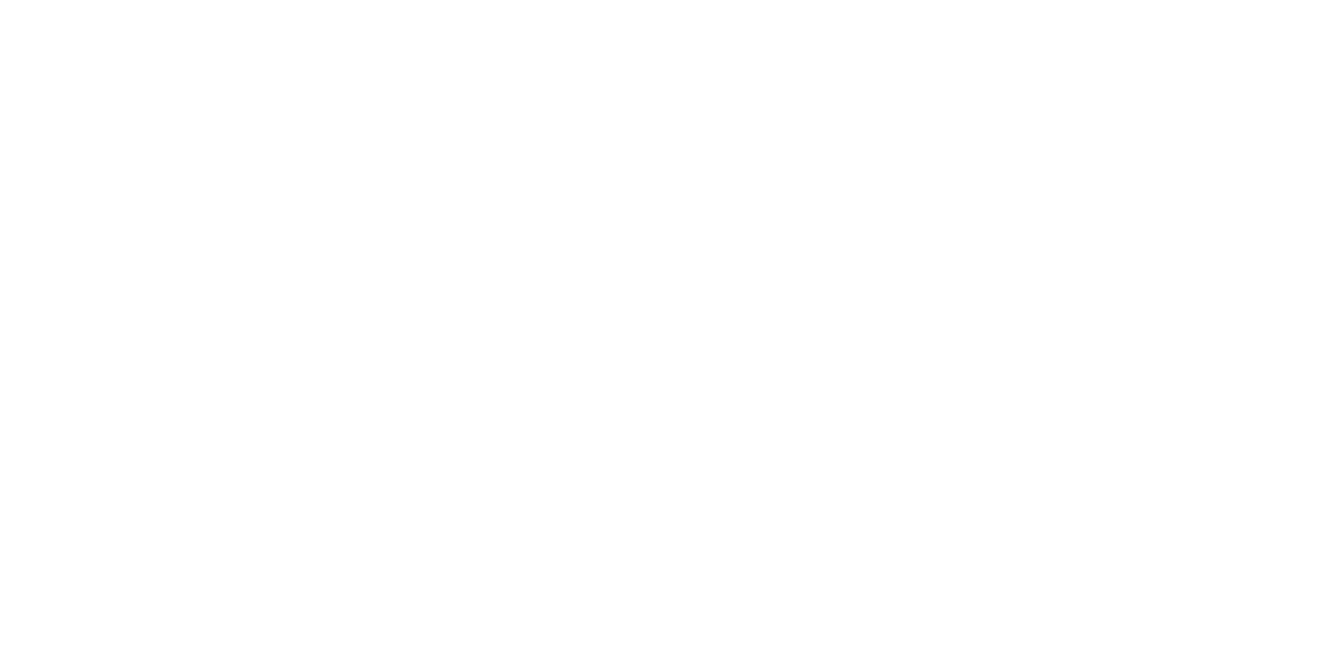 Virginia Transformer Corp